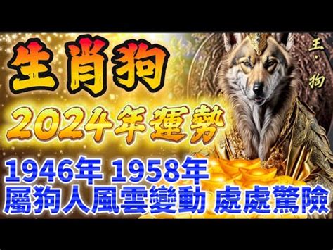 屬狗的五行|屬狗的五行屬什麼 揭秘「不同屬性」的屬狗人性格